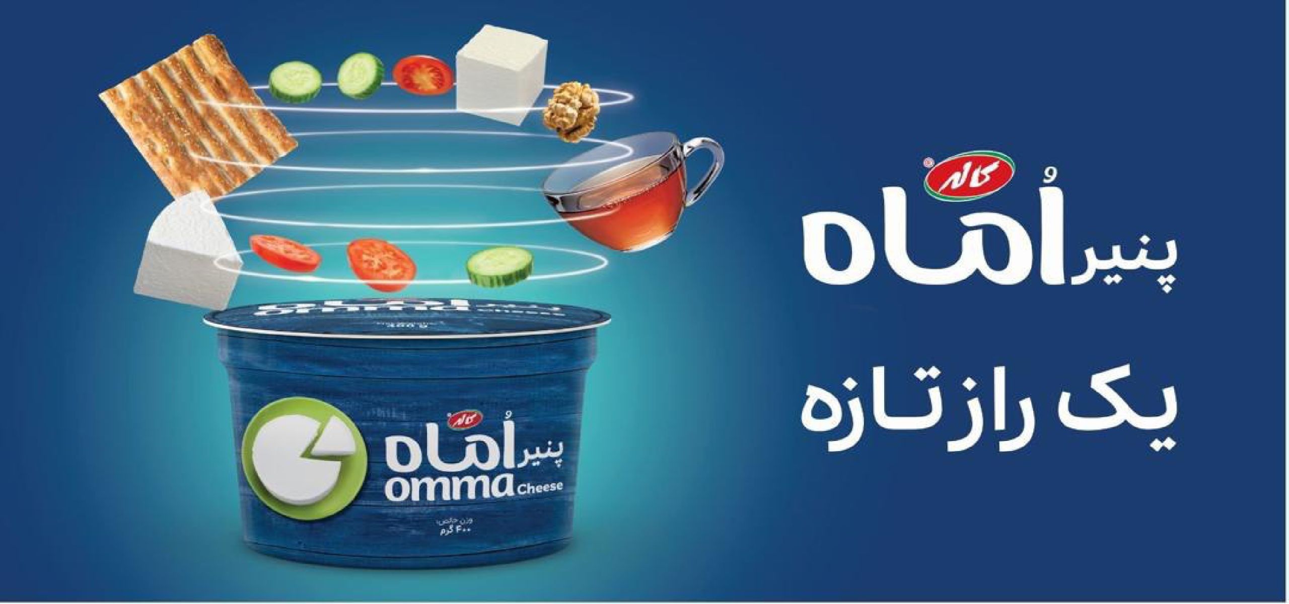 IMG_20250227_194847_142